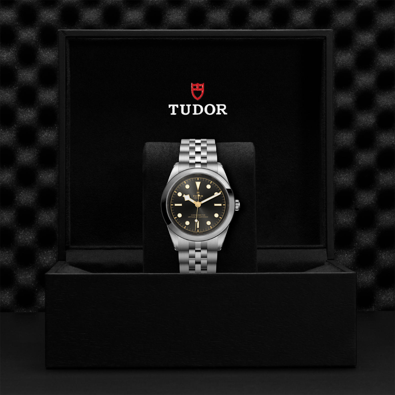 Tudor | Black Bay 41 | M79680-0001 | Maison Birks